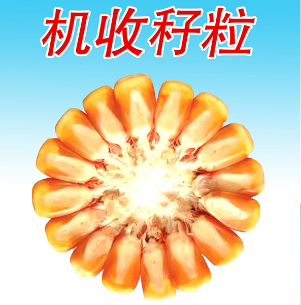 20200304101013331 \